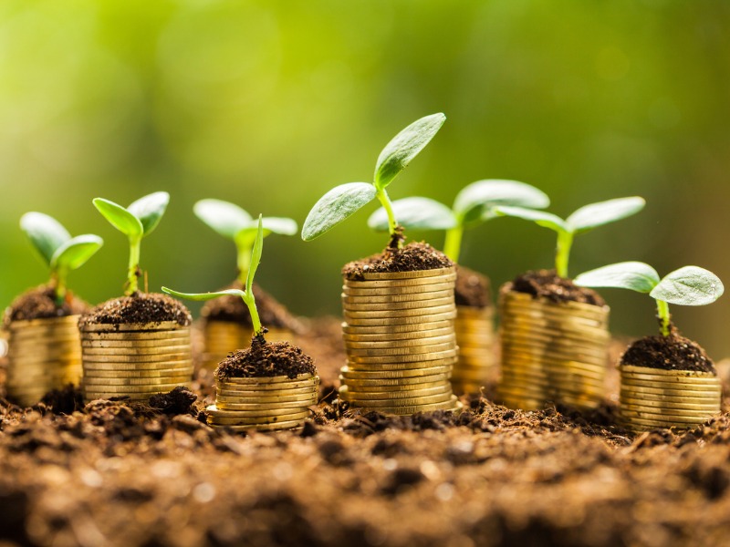 420-10-green-finance-cosa-devi-sapere-sugli-investimenti-verdi.jpeg